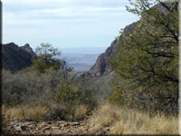 Along The Trail (74kb)