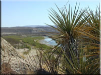 Rio Grande River (80kb)