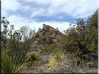 Along The Trail (78kb)