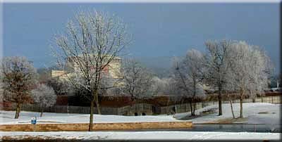 Ice Storm